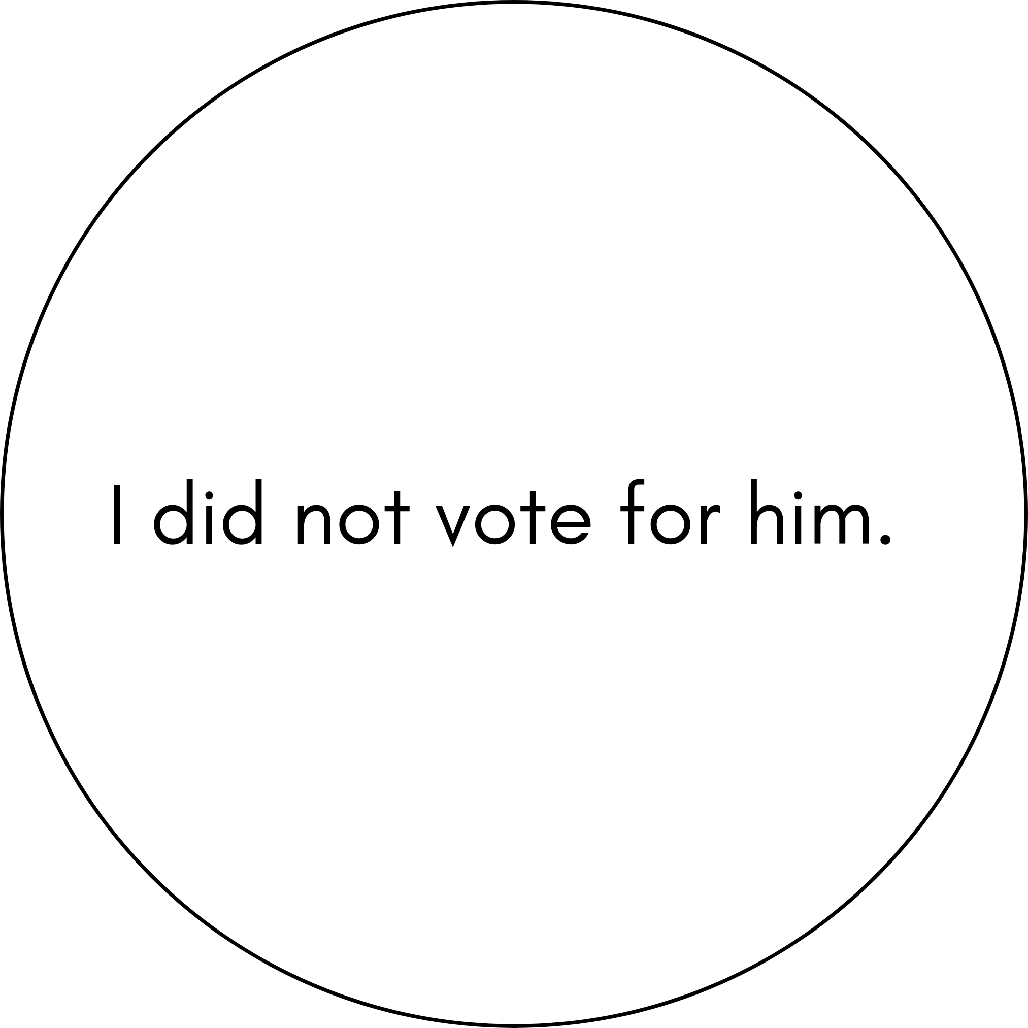 I did not vote for him.